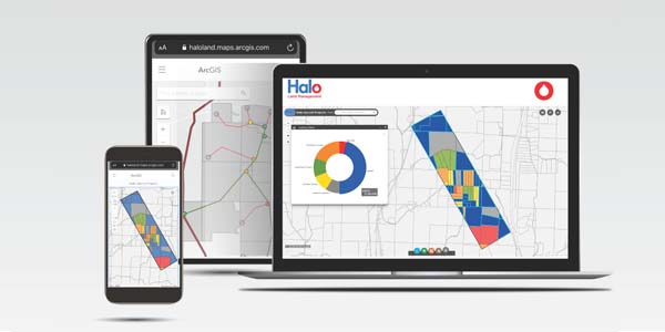 Online Project Management - Halo - Platform