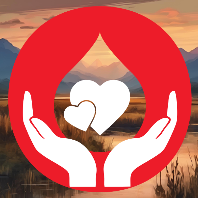 Halo Helps - Giving Back